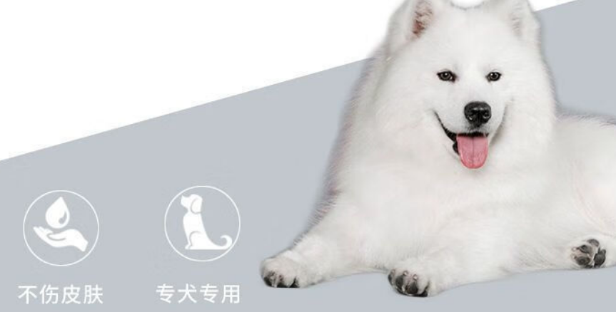 萨摩耶沐浴露推荐拖猫带狗,氨基酸养出蓬松亮白棉花糖 萨摩耶沐浴露推荐拖猫带狗,氨基酸养出蓬松亮白棉花糖