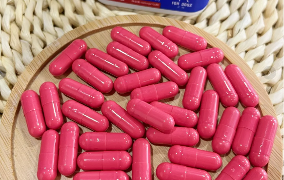 宠物吃什么对心脏好？AINIO辅酶Q10为宠物心脏健康加分