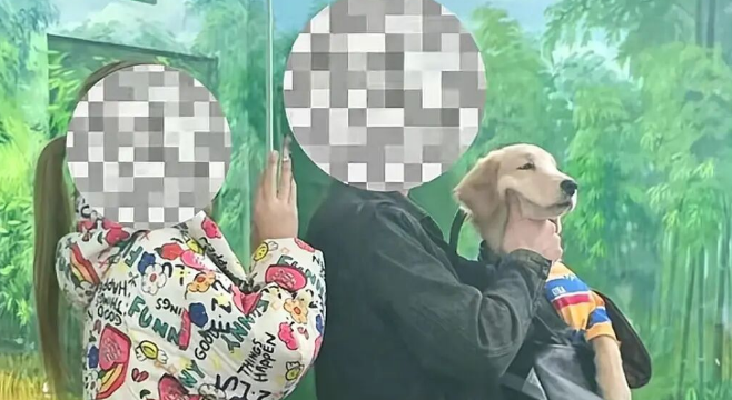 天津动物园回应游客带宠物看熊猫,已及时制止