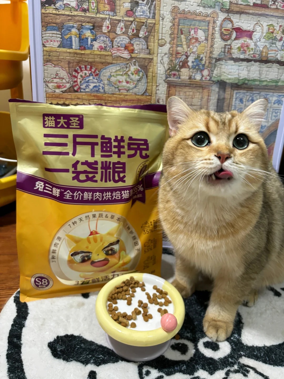 2025年10款口碑性价比猫粮帮铲屎官省心力、省预算！