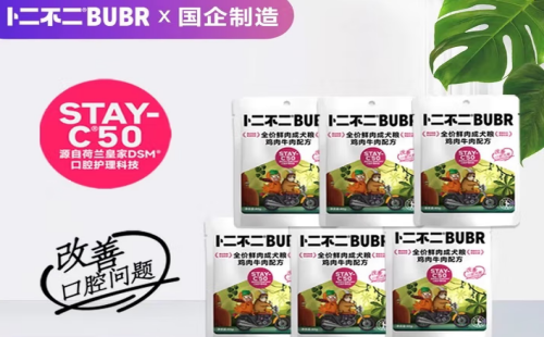 卜二不二