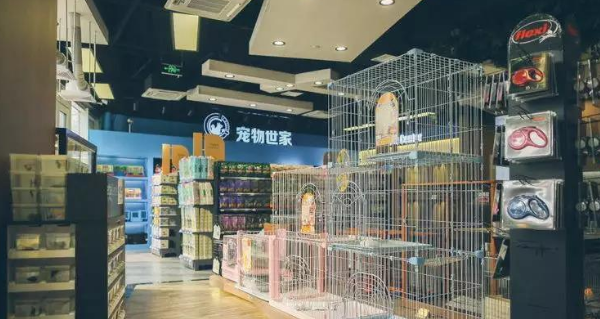 宠物行业发展前景如何?听听宠物世家创始人蔡奇怎么说 宠物行业发展前景如何?听听宠物世家创始人蔡奇怎么说