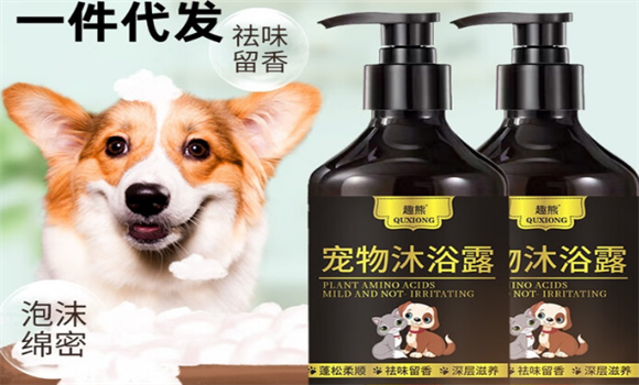 趣熊属于什么档次