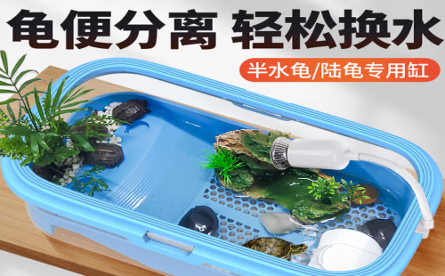 灌湘鸟