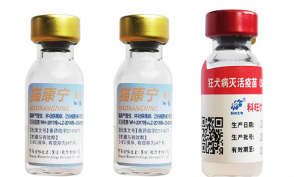 惠中动保猫三联首次免疫打几针 惠中动保猫三联首次免疫打几针