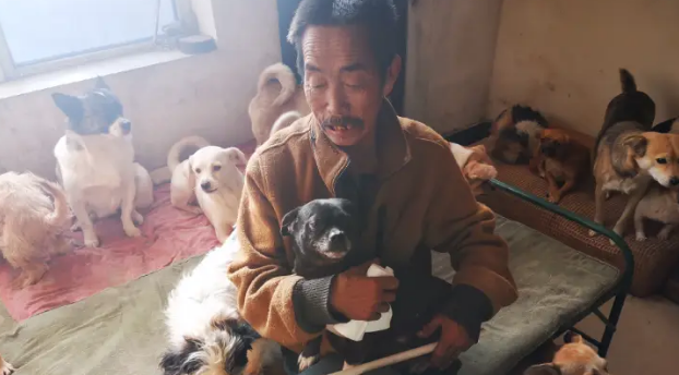 主人因病去世,提前铺好后路,狗:你还是带我走吧! 主人因病去世,提前铺好后路,狗:你还是带我走吧!