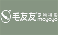 宠物摄影品牌有哪些？毛友友宠物摄影：让每份爱都有影像痕迹