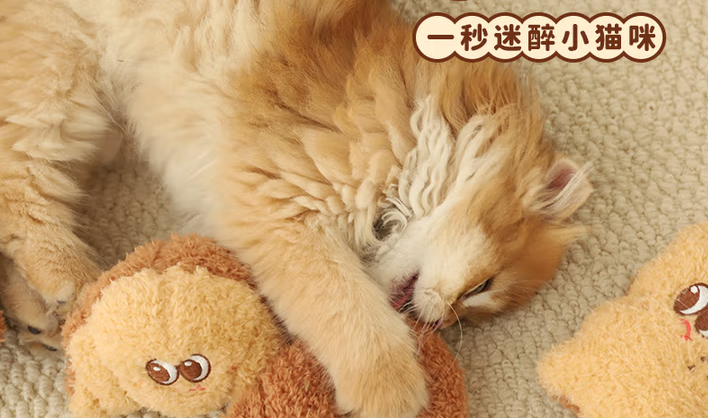 猫咪玩具品牌有哪些？喵小元：解锁猫咪欢乐新体验