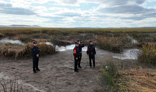 霍林郭勒市:候鸟翩跹 绘就生态新画卷 霍林郭勒市:候鸟翩跹 绘就生态新画卷