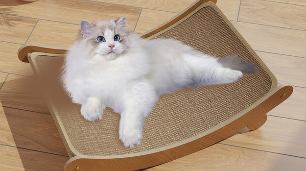 猫抓板有必要买吗？今宠猫抓板，养宠家庭的实用好物