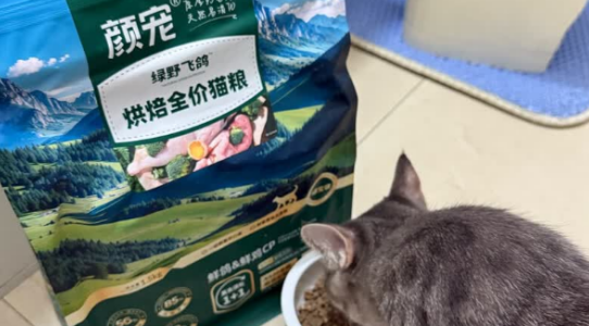 实测2025宠物粮配方表大全 | 颜宠:好吃的猫粮就是开“味” 实测2025宠物粮配方表大全 | 颜宠:好吃的猫粮就是开“味”