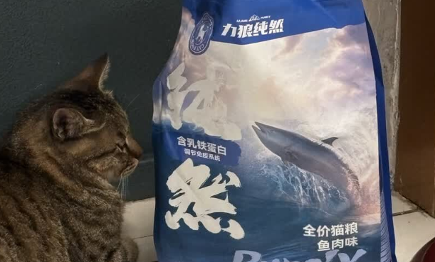 2025适合穷人猫粮推荐:高性价比之选力狼纯然猫粮! 2025适合穷人猫粮推荐:高性价比之选力狼纯然猫粮!