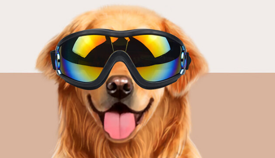 安罗尔是什么品牌