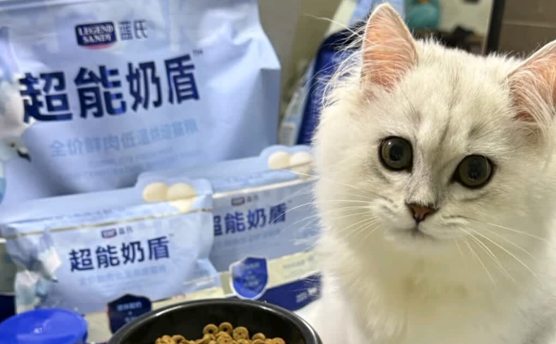 为什么2025猫咪猫粮推荐蓝氏?猫粮品质是健康的基石 为什么2025猫咪猫粮推荐蓝氏?猫粮品质是健康的基石