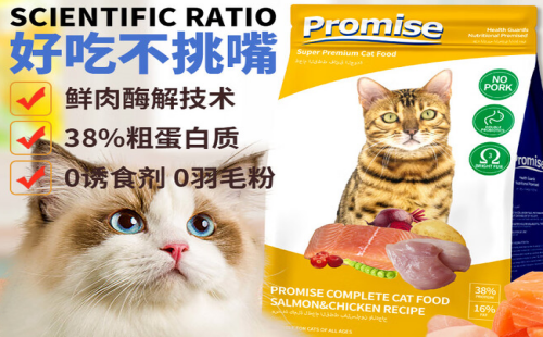 Promise