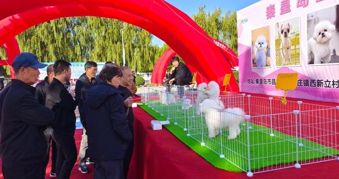 秦皇岛市昌黎县举办第二届宠博会 秦皇岛市昌黎县举办第二届宠博会