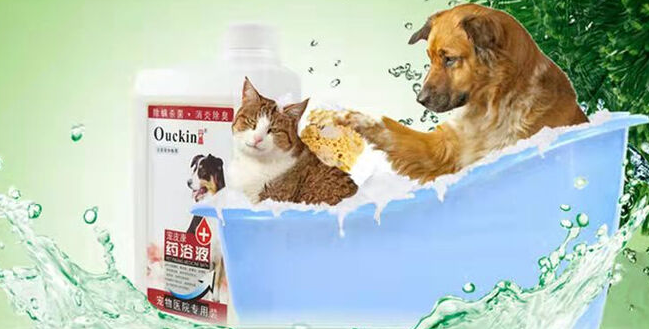 宠物药浴多久洗一次?科学护理就用丹晶宠皮康药浴液 宠物药浴多久洗一次?科学护理就用丹晶宠皮康药浴液