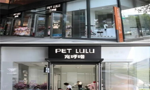 怎么判断宠物店可靠？宠呼噜petlulu专业服务才是养宠人的真正需求