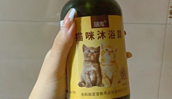 瑞鸾体是什么品牌 瑞鸾体是什么品牌