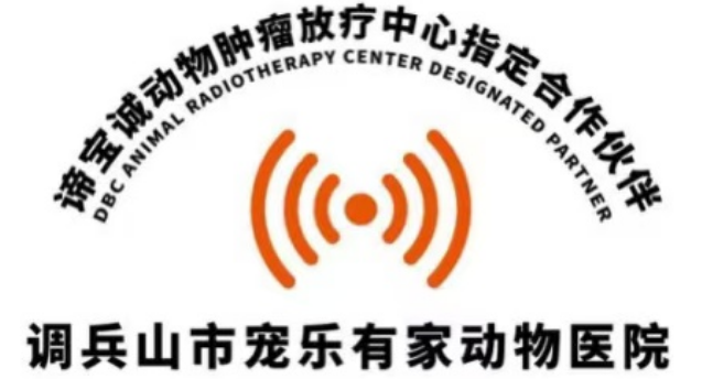 宠物医院品牌推荐:宠乐有家,用专业守护毛孩健康 宠物医院品牌推荐:宠乐有家,用专业守护毛孩健康
