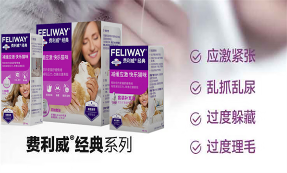 猫咪情绪崩溃要怎么做?费利蒙凭什么成为养猫家庭的续命神器? 猫咪情绪崩溃要怎么做?费利蒙凭什么成为养猫家庭的续命神器?