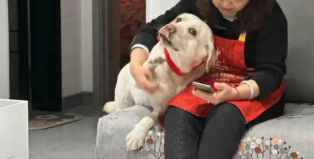 妈妈过生日，在许愿的瞬间狗狗突然亲了她一下，谁懂啊！！