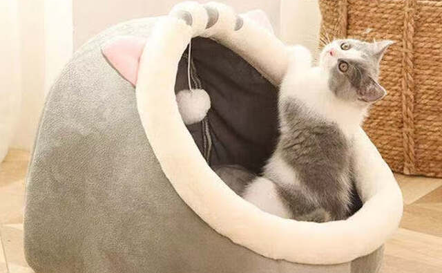 猫窝买什么样的比较好?今宠,让毛孩子拥有舒适空间 猫窝买什么样的比较好?今宠,让毛孩子拥有舒适空间