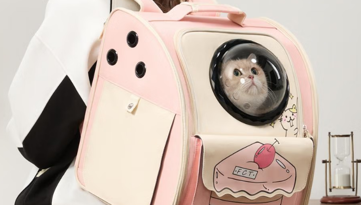 FCT猫包买哪种比较好