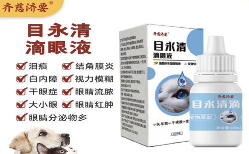 齐慈济要