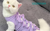 GIGIWAWA宠物衣服都是什么材质的