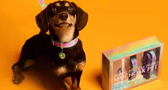 MMCHOKK牵引绳怎么打结 MMCHOKK牵引绳怎么打结