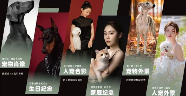 宠物摄影品牌推荐：毛友友宠物摄影用镜头锁住毛孩子的治愈瞬间