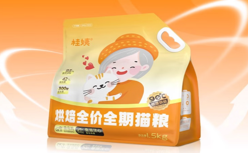 桂姨