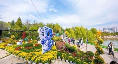 西宁野生动物园单日客流创新高 西宁野生动物园单日客流创新高