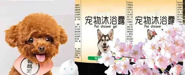 宠物沐浴露作用与功效：熊布斯，祛味洁净美毛一步到位