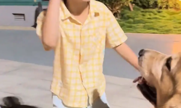 小男孩想摸狗子,结果却一把紧紧搂住狗子的脖子 小男孩想摸狗子,结果却一把紧紧搂住狗子的脖子