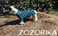 ZOZORIKA碳中和宠物服装哪里可以买