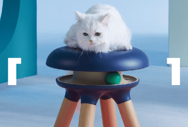 独特的猫玩具有哪些?CASADOSA猫玩具凳,人宠共用 独特的猫玩具有哪些?CASADOSA猫玩具凳,人宠共用