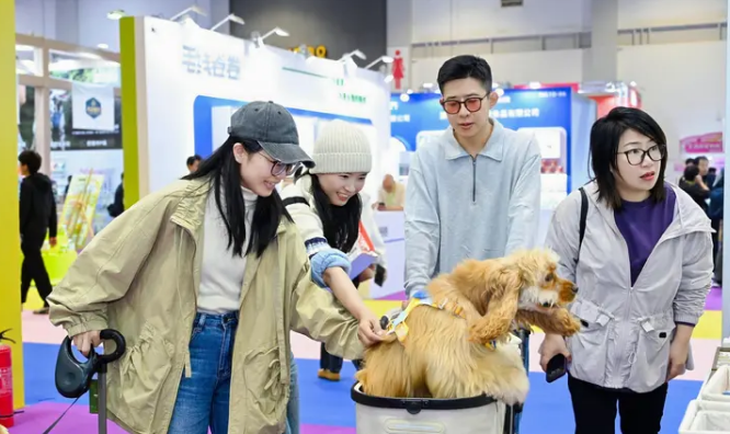 聚势华东 链接全球 | 第6届(杭州)华东国际宠物展盛大开幕！