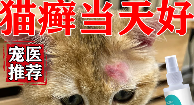 洁蒂丝猫癣喷雾怎么样 洁蒂丝猫癣喷雾怎么样