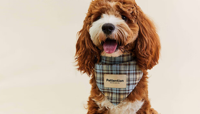 三角巾是什么?Pettention给毛孩子的时尚小点缀! 三角巾是什么?Pettention给毛孩子的时尚小点缀!
