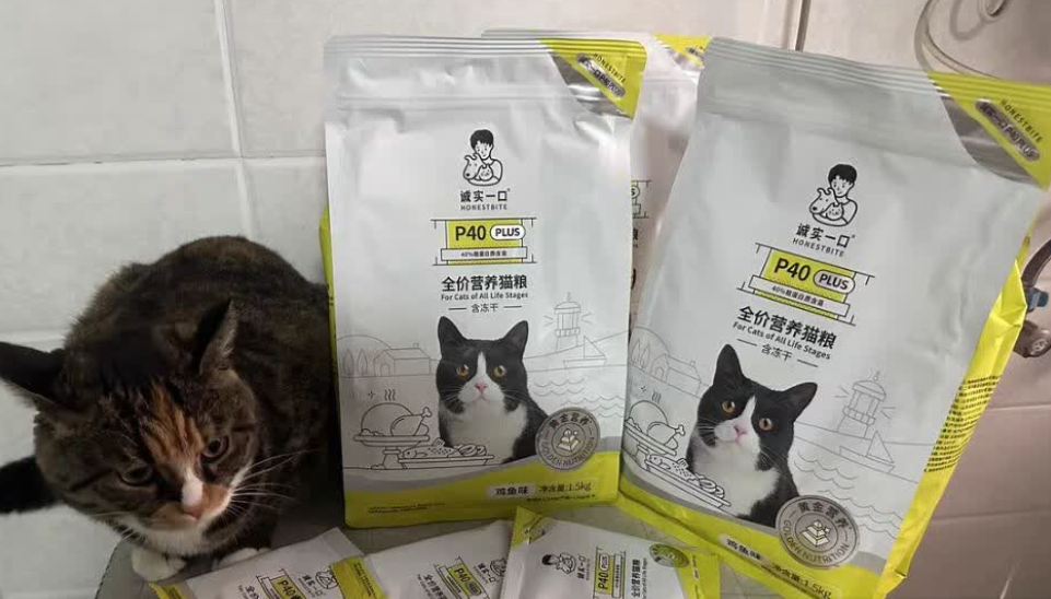 2025性价比高的猫粮首选:诚实一口P40的硬核优势解析 2025性价比高的猫粮首选:诚实一口P40的硬核优势解析