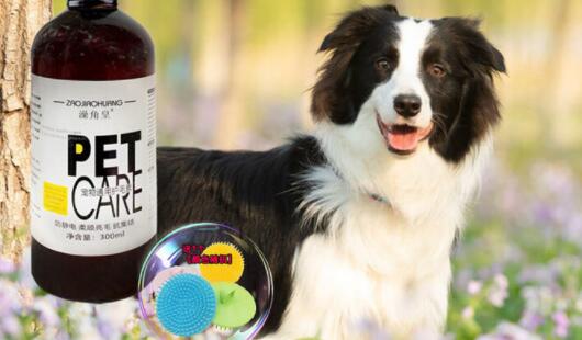 澡角皇的宠物沐浴露适合哪些狗