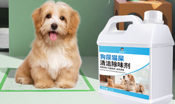 宠物除臭剂真的有用吗?洁娘子抑菌除味双效,守护人宠环境安全 宠物除臭剂真的有用吗?洁娘子抑菌除味双效,守护人宠环境安全