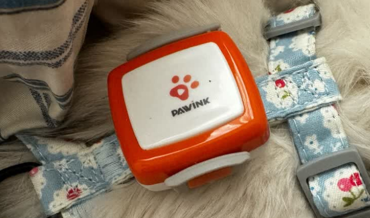 趣爪印宠物定位器能定位多远