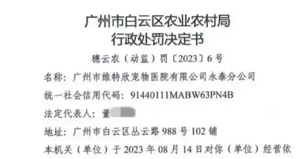 血猫事件有判例证据：广州一宠物医院实习员工曾搜证爆料