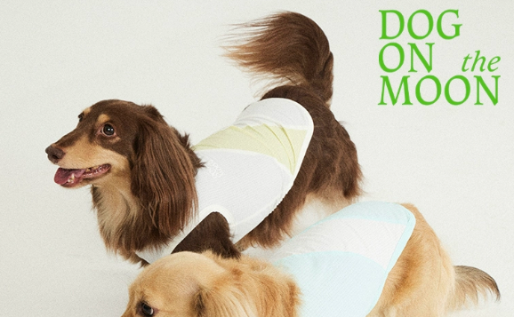 DOG ON THE MOON宠物衣服好卖吗