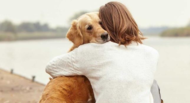 宠物智能科技赋能适老化照料,“它经济”浪潮掀起银发革命新蓝海 宠物智能科技赋能适老化照料,“它经济”浪潮掀起银发革命新蓝海