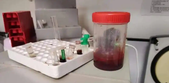 动物血库灰色产业链曝光,画面触目惊心 动物血库灰色产业链曝光,画面触目惊心