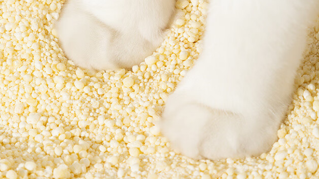 猫砂哪个牌子质量好性价比高？盛宠源木薯猫砂：给猫咪洁净舒适！